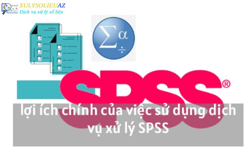 Dịch vụ xử lý SPSS chất lượng  chuyên nghiệp uy tín số 1
