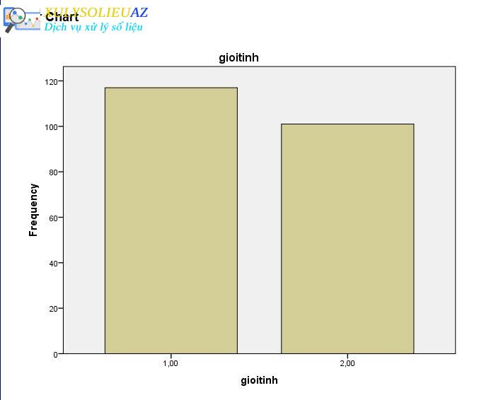Thống kê mô tả: Hướng dẫn cách thống kê tần số trong SPSS